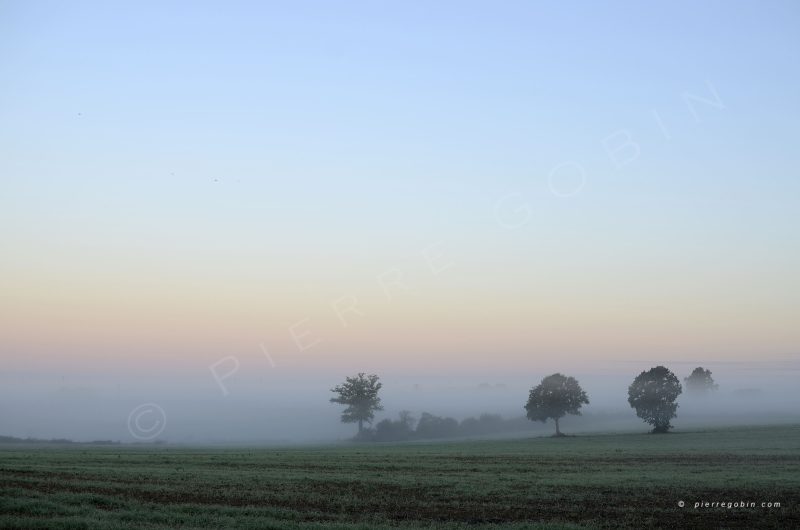 Paysage brumeux et mélancolque un matin à Vigneux de Bretagne