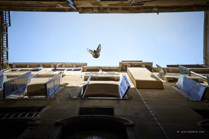 Vue des murs à Venise (Italie) en contre plongée traversée par un oiseau