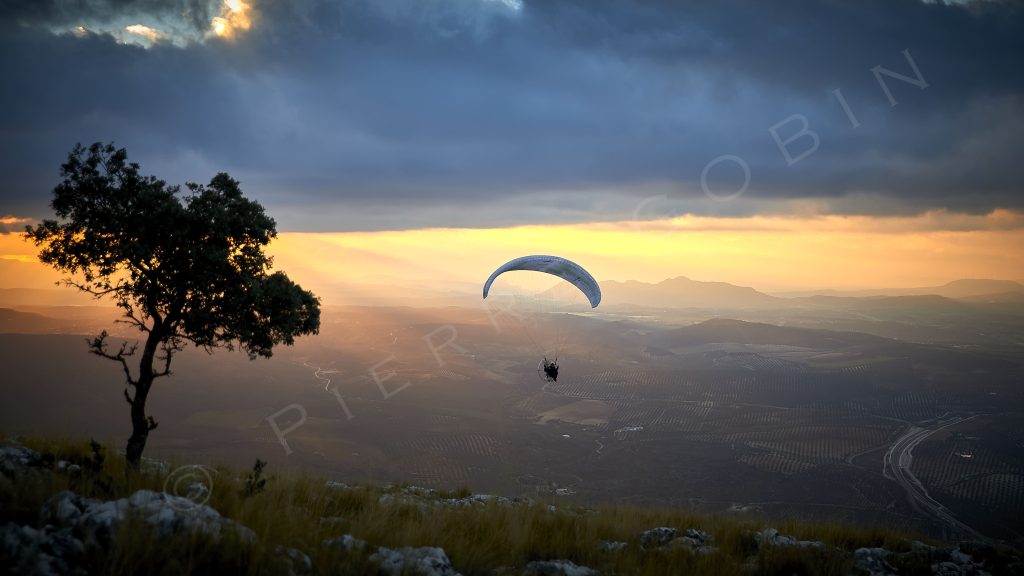 Vue aérienne en paramoteur en Andalousie sur une vallée au coucher du soleil avec un arbre en premier plan