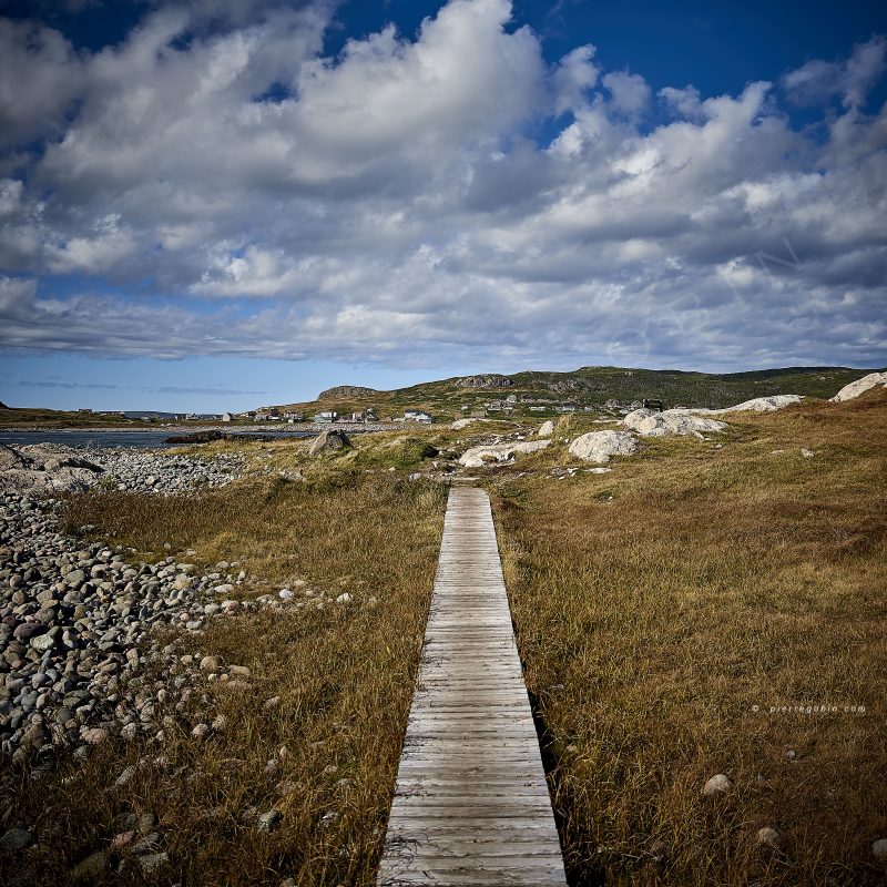 Passerelle droite courant dans la lande de St Pierre & Miquelon