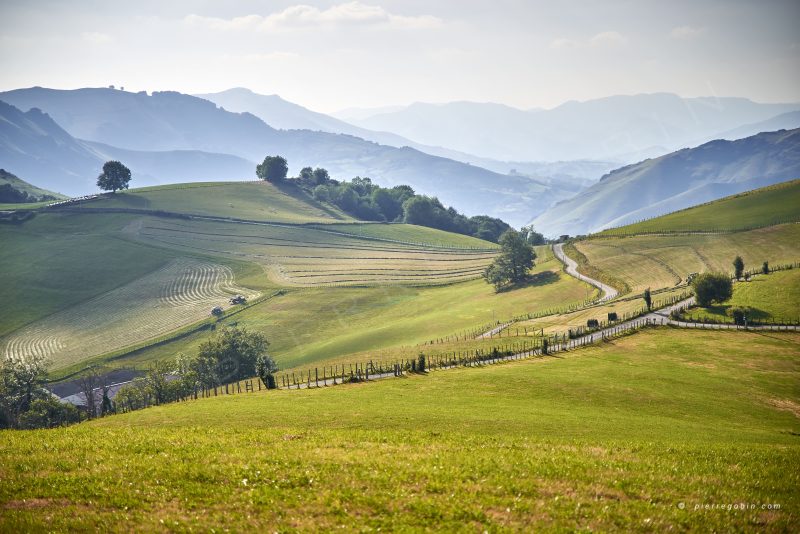Paysage d'une vallée en Pays Basque avec ses collines verdoyantes