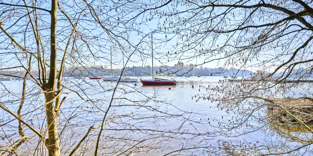 Sur l'Erdre, un bateau caché au milieu des branchages