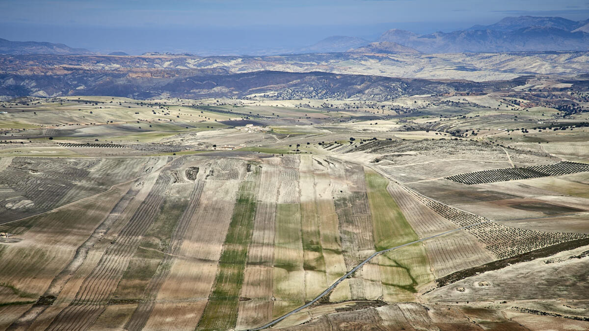 20170107 Raid Andalousie 7147   