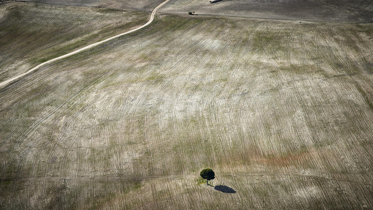 20170107 Raid Andalousie 7175   