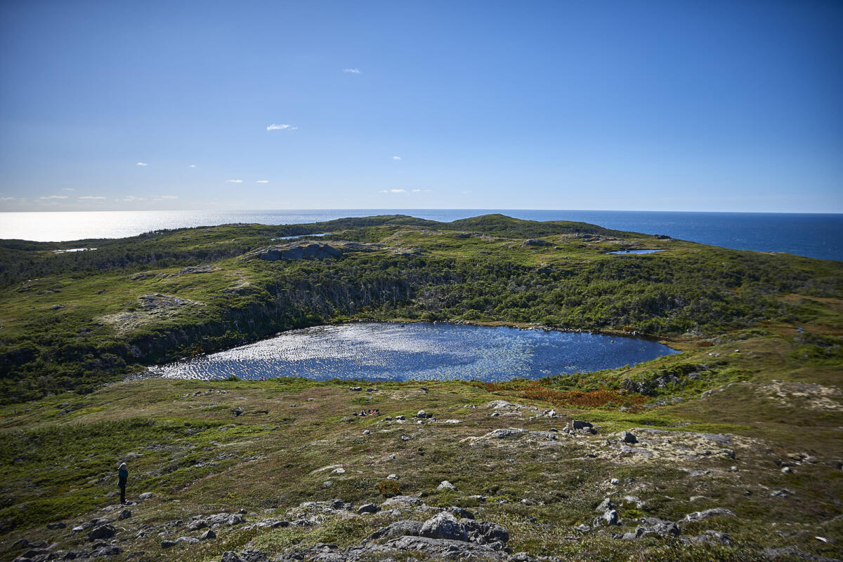 Au sud de l'étang Goeland  