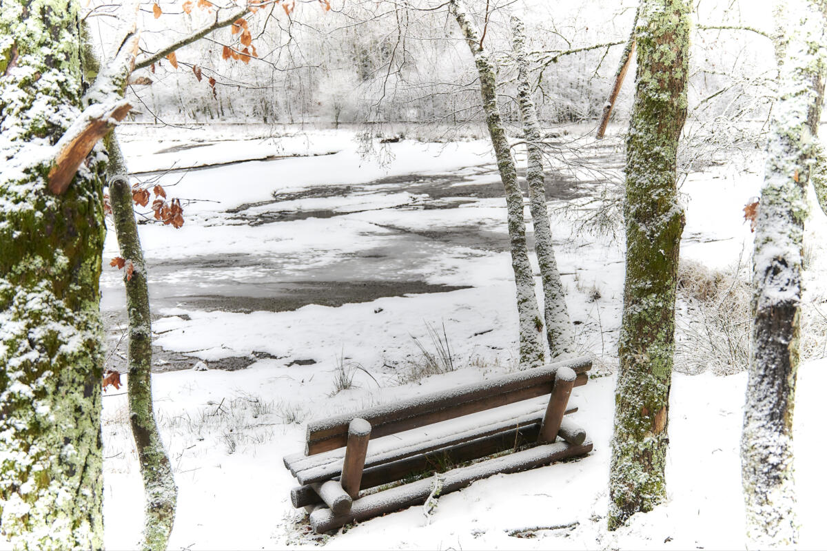 20201229 balade MilleVaches 5195  