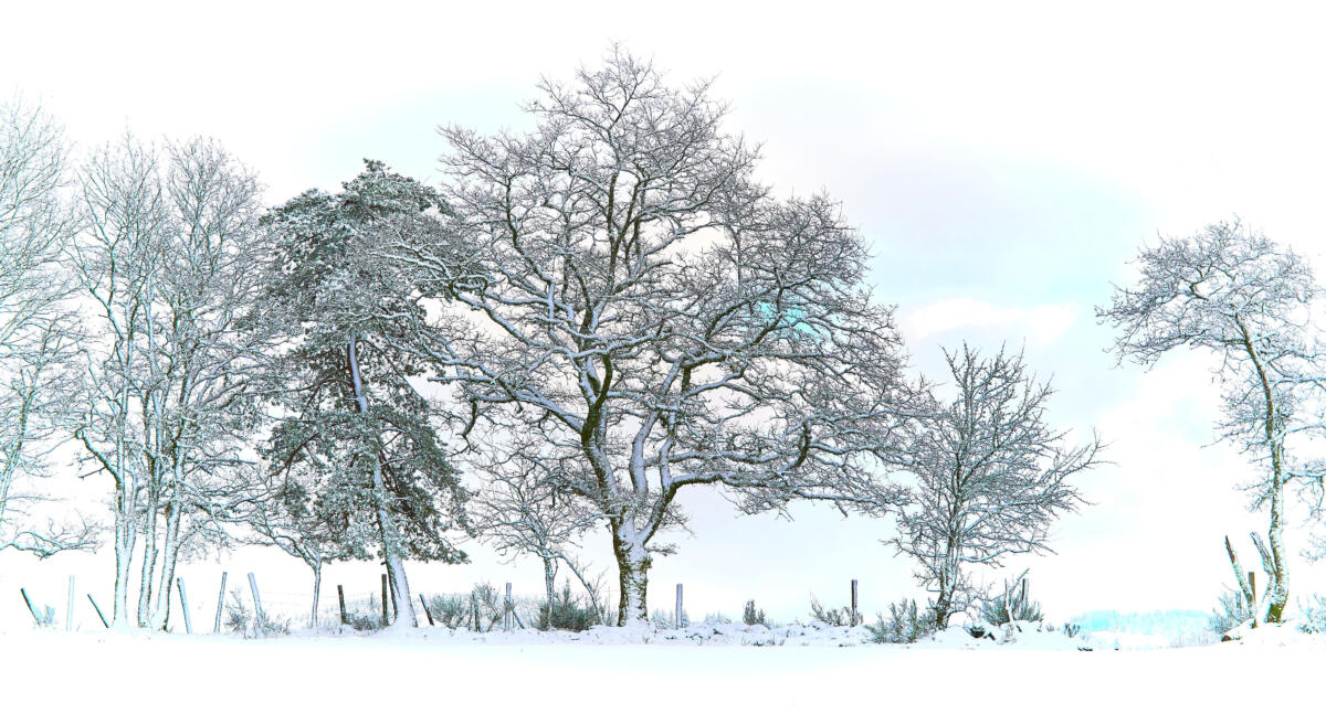 20201229 balade MilleVaches 5210  