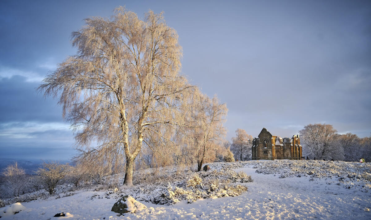 20201229 balade MilleVaches 5249  