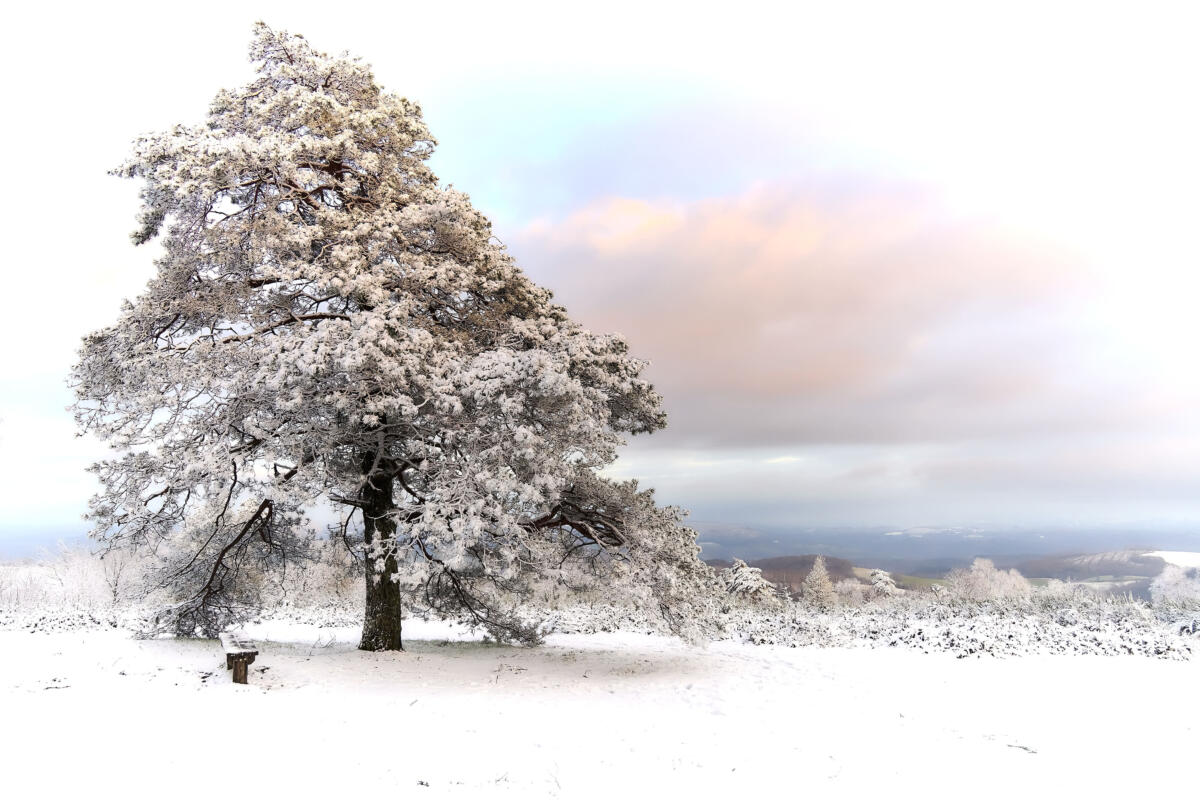 20201229 balade MilleVaches 5256  