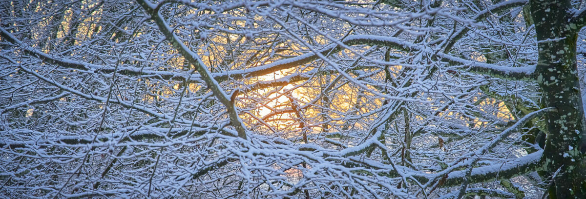 20201229 balade MilleVaches 5259  