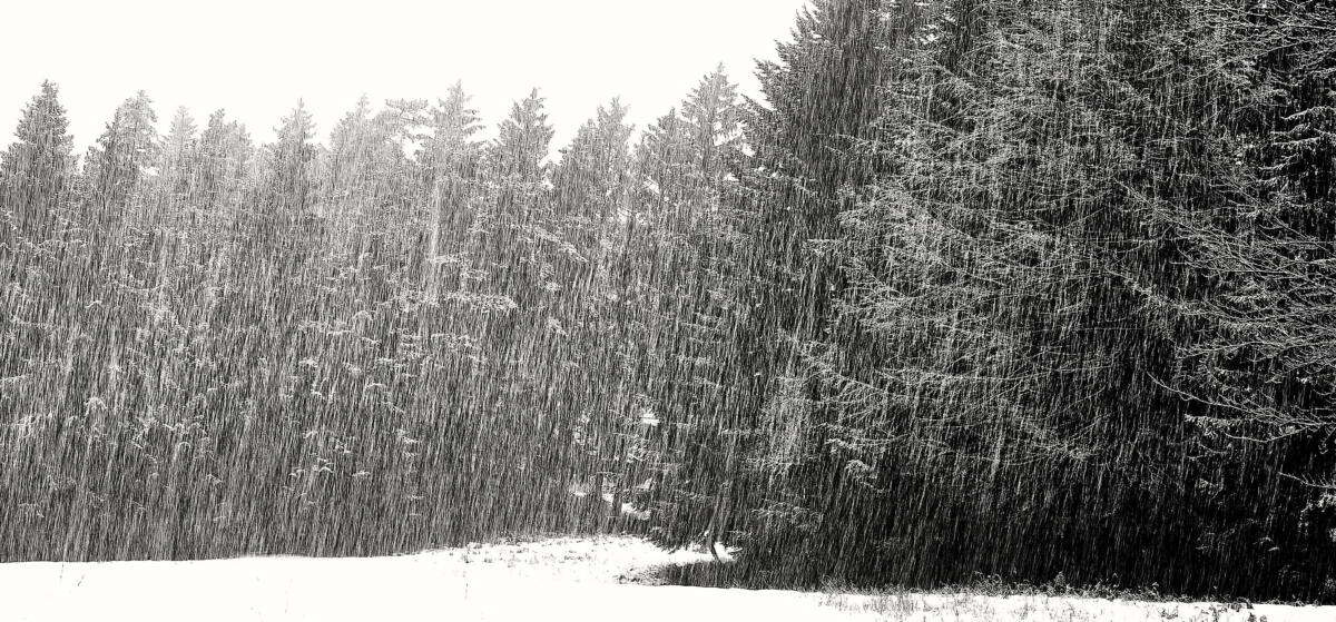 20201229 balade MilleVaches 5261