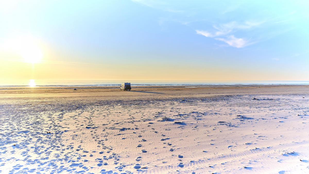 20220412 Scandinavi 9832