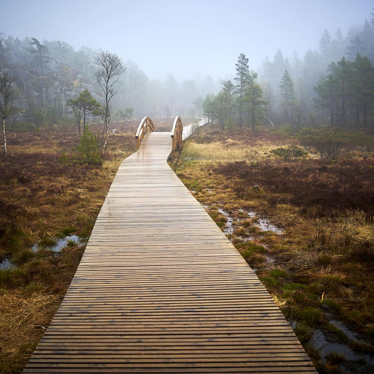 20220412 Scandinavie 0463