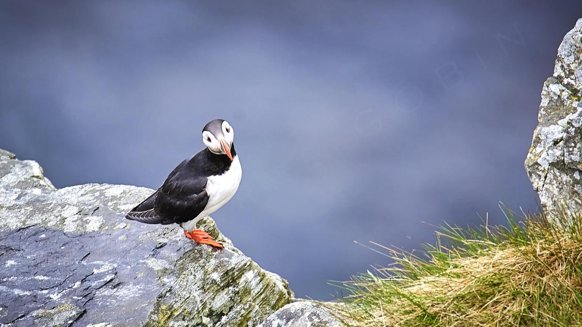 20220412 Scandinavie 0829