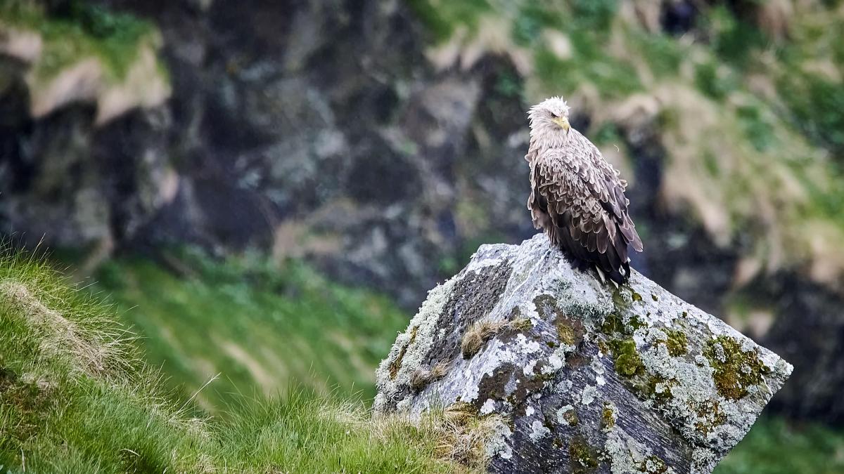 20220412 Scandinavie 0896