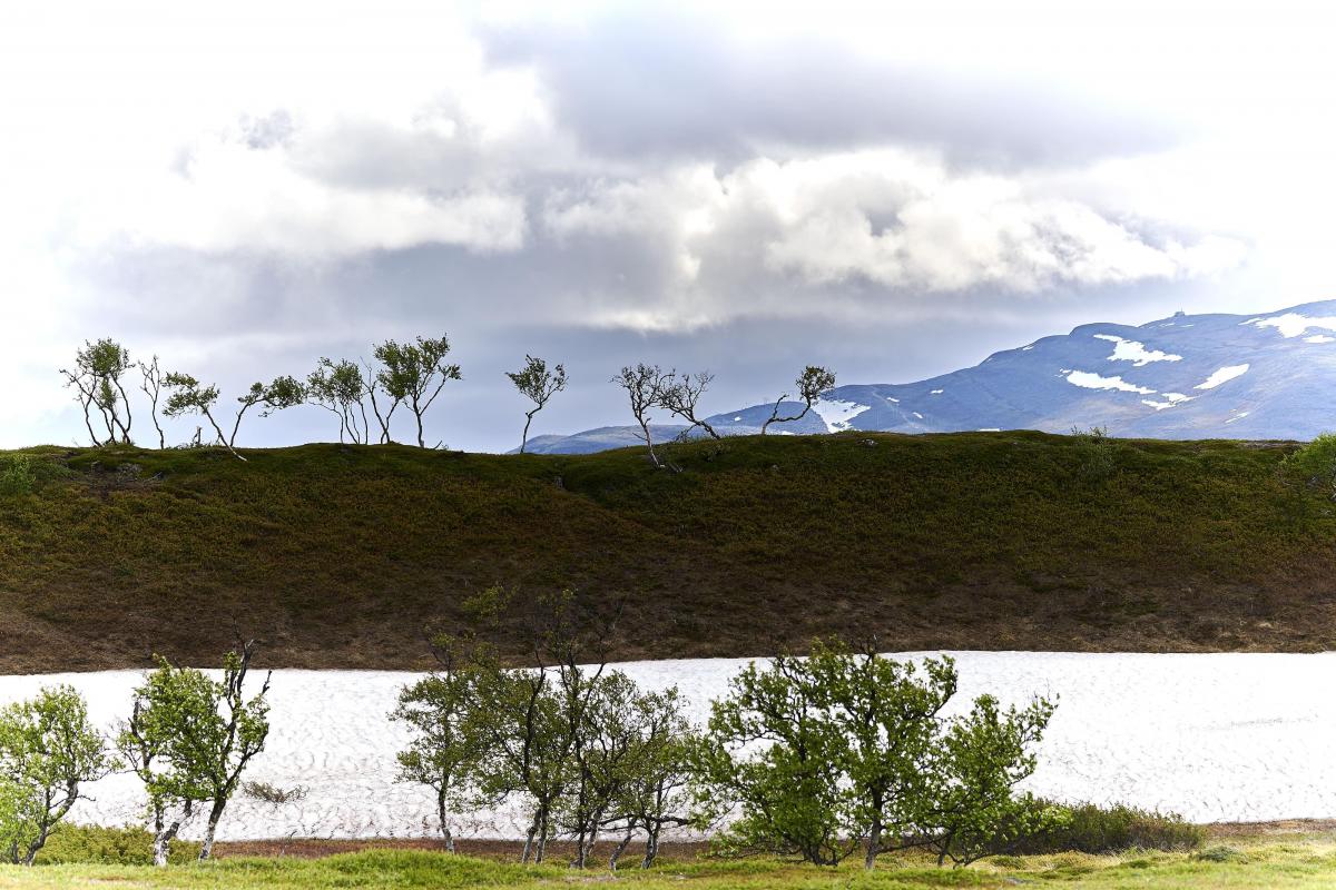 20220412 Scandinavie 1447