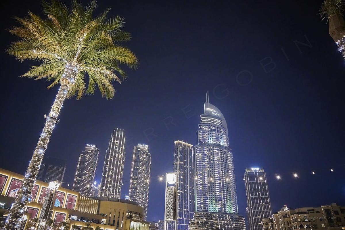 20230417 balade Emirates 3562