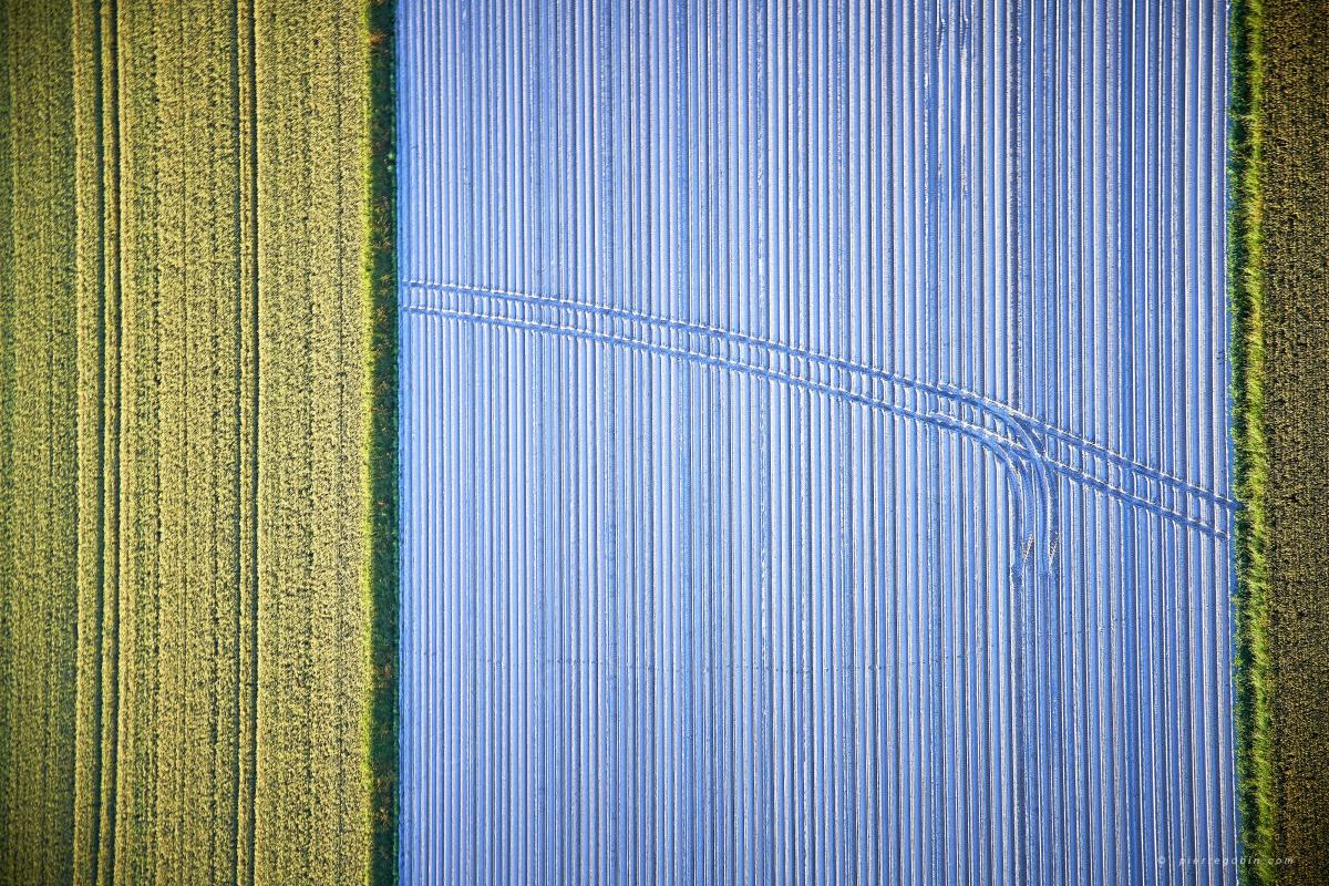 Lignes hypnotiques..