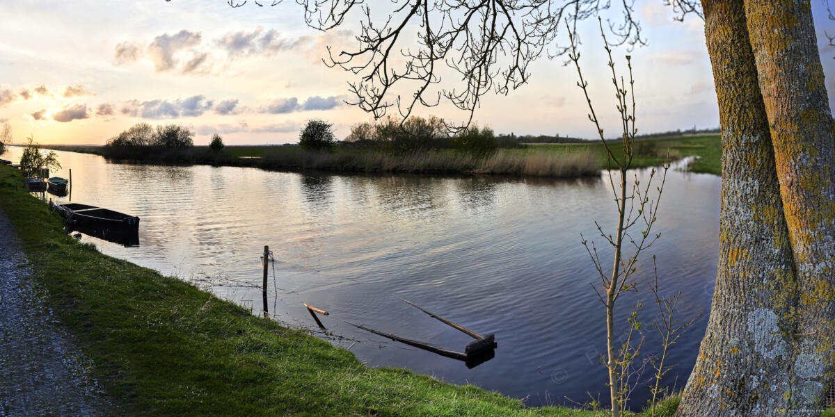 La Grande Brière, à côté du centre ornitho 