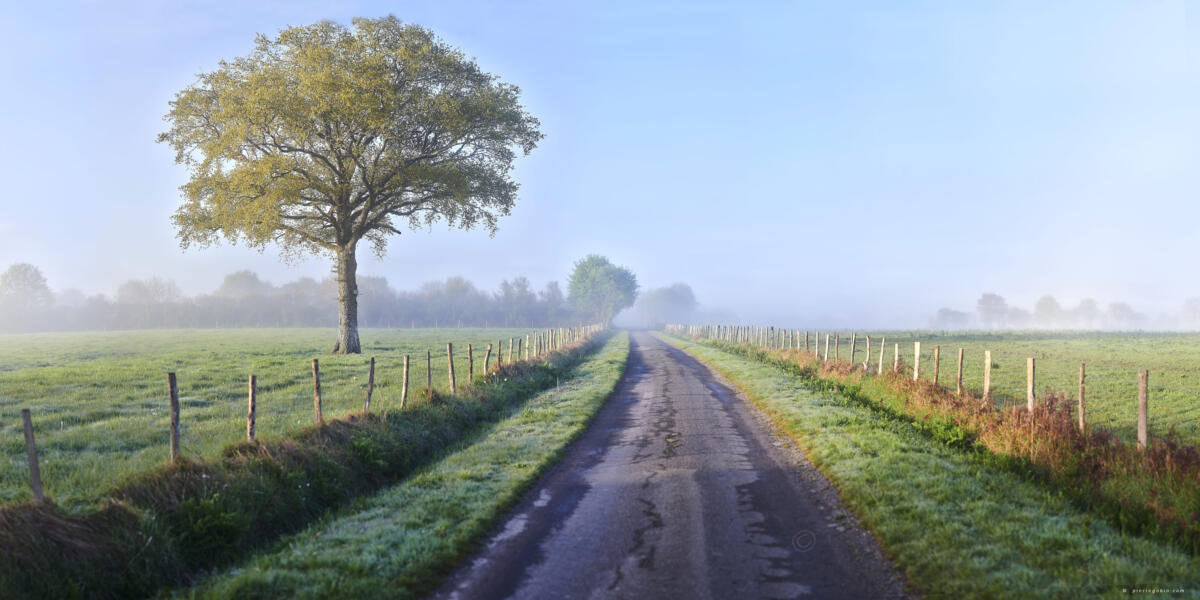 Vigneux de Bretagne au petit matin 