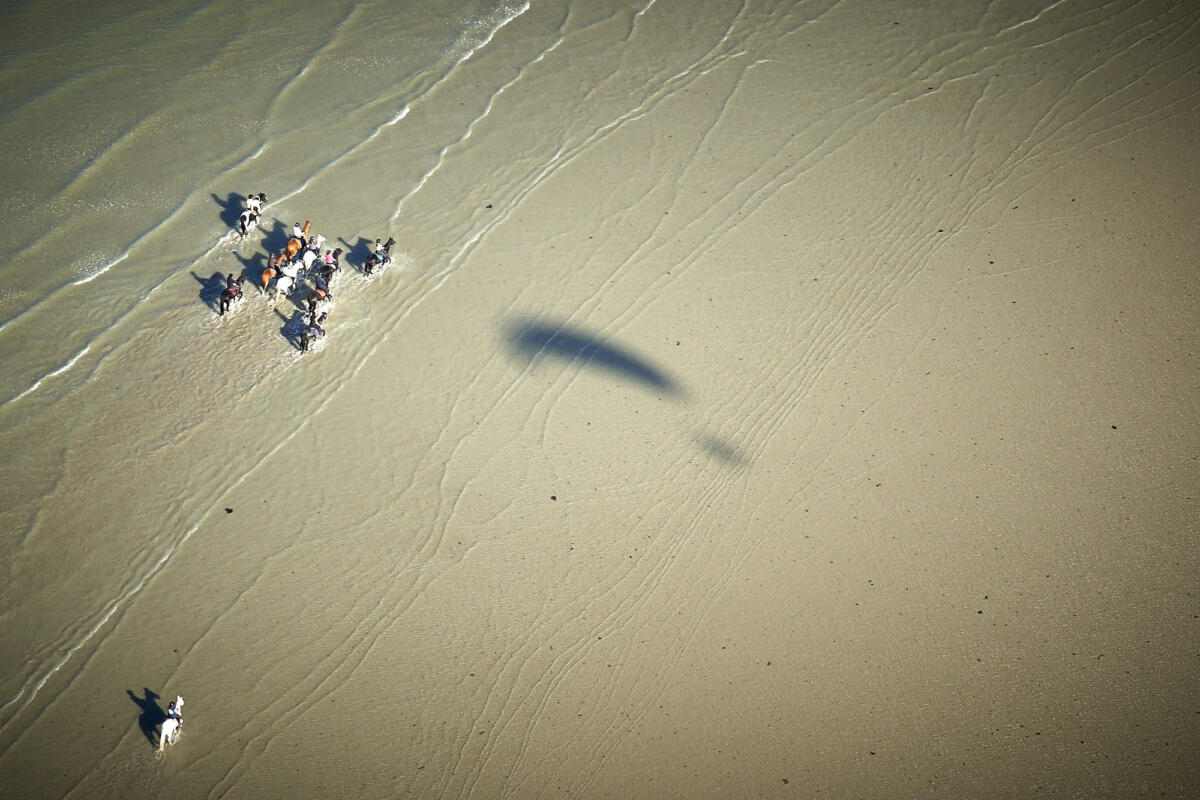 Baie de St Brieux (44) - Chevaux                      