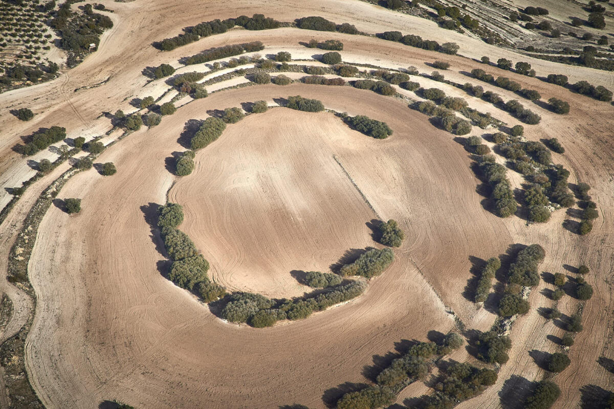 260 20170107 Raid Andalousie 7194              